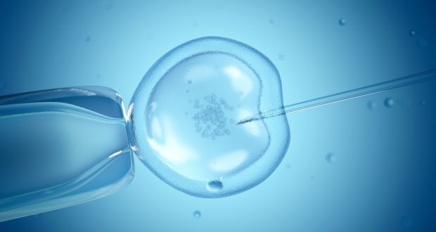 причина остановки развития эмбрионов
