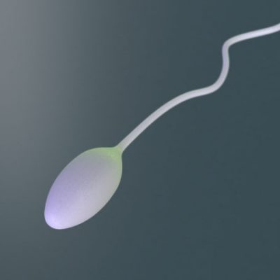 За скільки часу відновлюється сперма?