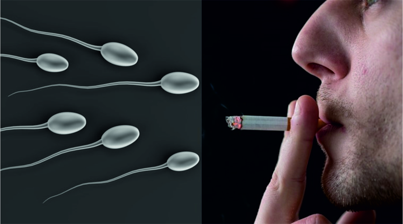 Курение влияние на фертильность